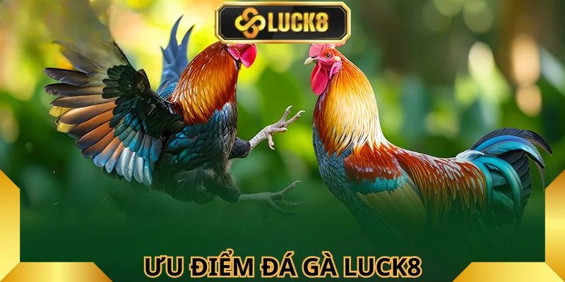 ly-do-nguoi-choi-yeu-thich-choi-ke-online-tai-nha-cai