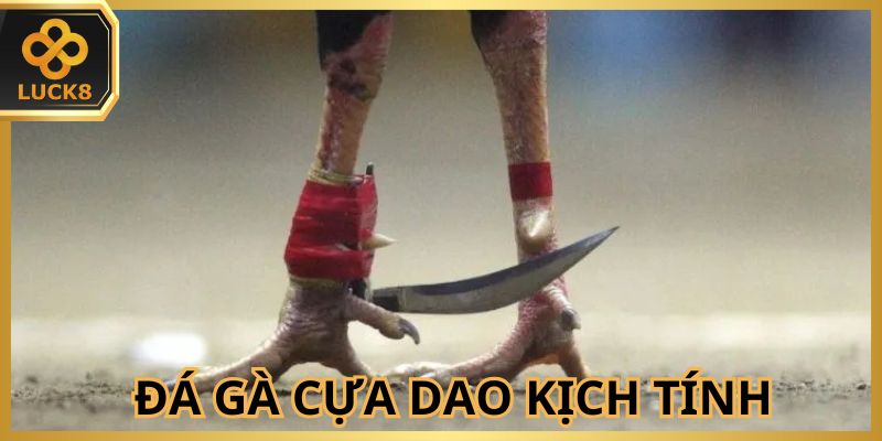 Hình thức được hội viên đánh giá cao khi tham gia